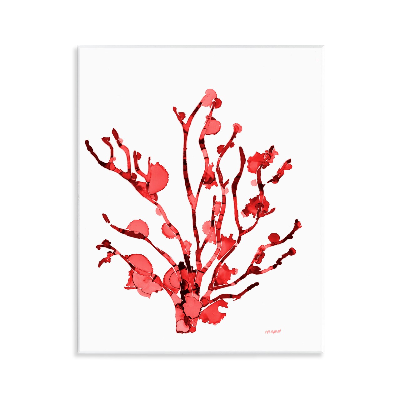 Stupell Industries Coral With Splashes Wall Plaque Art Design by Patti Mann